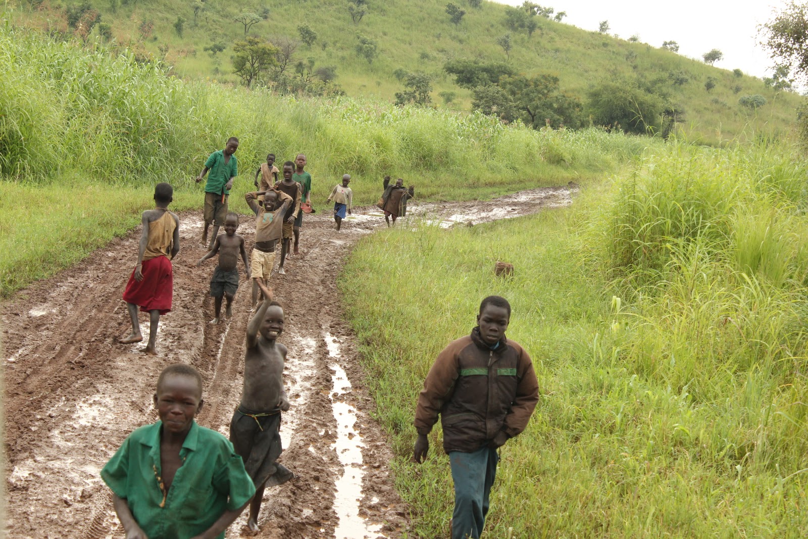 viaje africano pequeña en Alcorcón viaje africano pequeña en Alcorcón